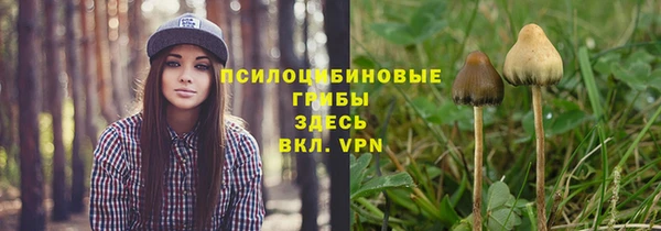 герыч Богородск