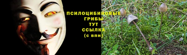 спайс Богородицк